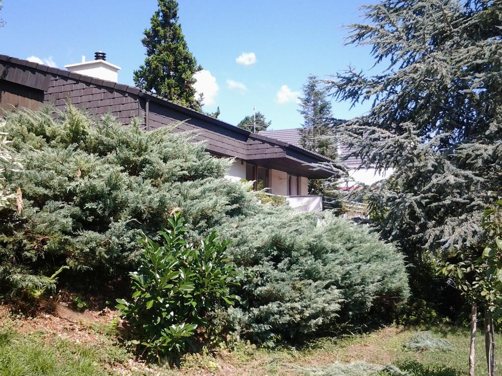 B&B Hersberg מראה חיצוני תמונה